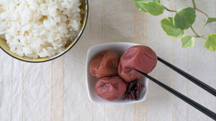 日本の食卓。梅干とご飯。”Japanese Pickled dried plum・Salted plum”