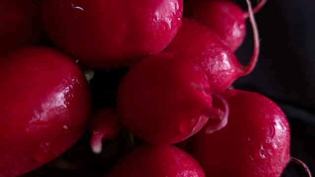 Radieschen Nahaufnahme