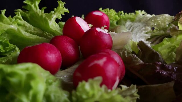 Radieschen auf Salatbl&auml;tter