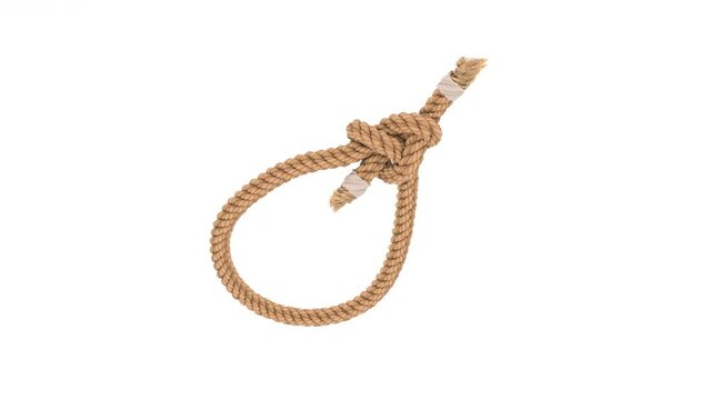 realistic, freestyle, wirefreme 3d rendering of bowline knot 720 turntable on white background