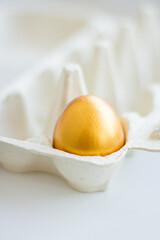 Golden egg in a cardboard box on a gray background, side view, place to insert.