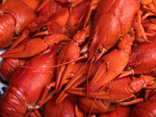 A pile of tasty boiled crawfish. Boiled red crayfish or crawfish with herbs on a table