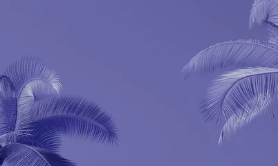 Photo sur Plexiglas Pantone 2022 very peri Fond de palmier tropical, Couleur de l& 39 année 2022 Très Peri. rendu 3D