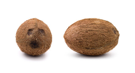 Set of various views of coconut isolated on white background.