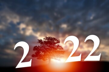 2022 text with tree on green grass field over sunset sky, Happy new year
