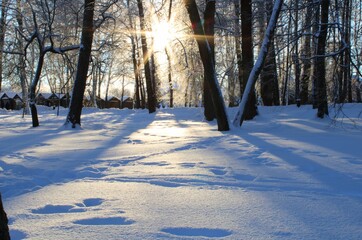 sunset in the winret forest, trees shadows on snow, illuminated by sun
