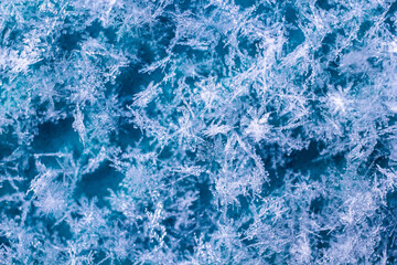 Large, beautiful snowflakes under magnification on a turquoise background.