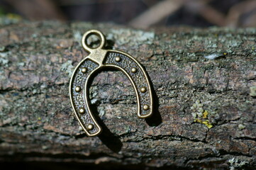 A metal horseshoe on the bark of a tree.