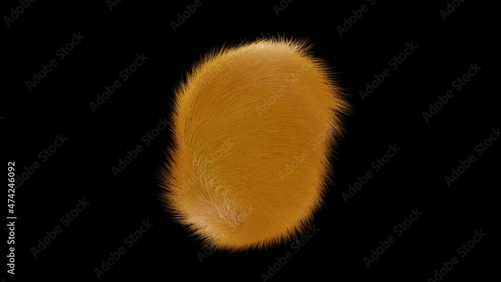 Poster hairy abstract spherical shape spinning in different directions on a black background. multicolored 