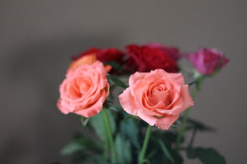Bouquet de roses