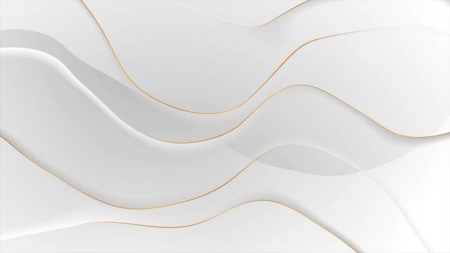 Grey silver smooth flowing waves with curved golden lines abstract motion background. Seamless looping. Video animation Ultra HD 4K 3840x2160