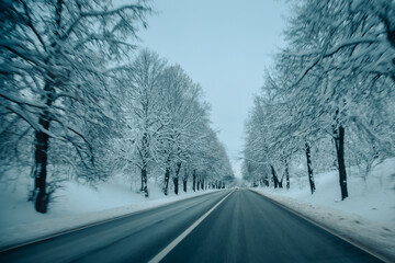 Winter asphalt road.  Winter road and trees with snow and Latvian landscape. Soft focus on photos.