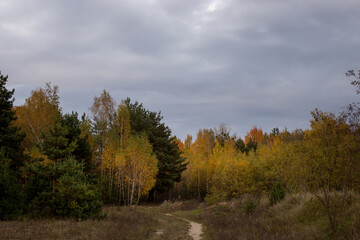 Autumn park and forest under clear clear sky