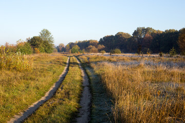 Autumn park and forest under clear clear sky