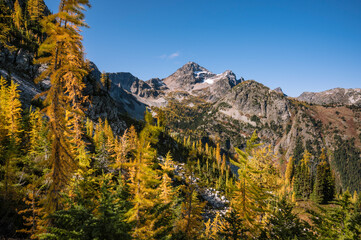 Incredible mountain scene with golden larches