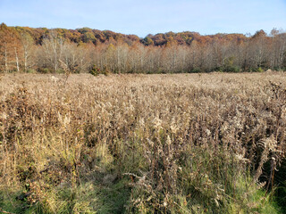 Highbanks Metro park, River Bluff Area, in Autumn, Columbus, Ohio