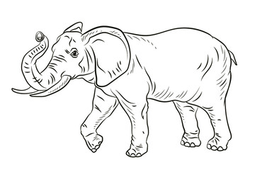 Animals. Black and white image of a large elephant, coloring book for children. Vector image.