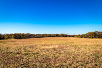 autumn landscape in the field