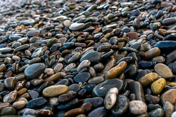 Sea shore
