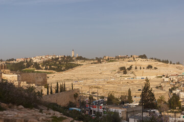 Fototapeta na wymiar View of hills and city of israel