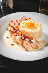 Perfect Seafood Menu Dish Plate Food Octopus Salmon, Shrimp Risotto Pasta Vegetables Salad Fish on a Dark Background