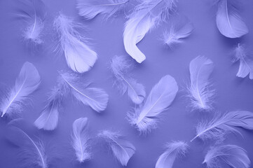 Fototapeta na wymiar The trending color of the new year is very peri. Light feathers on a purple background. The color template is veri peri. Fashion color 2022. Weightlessness. Monochrome