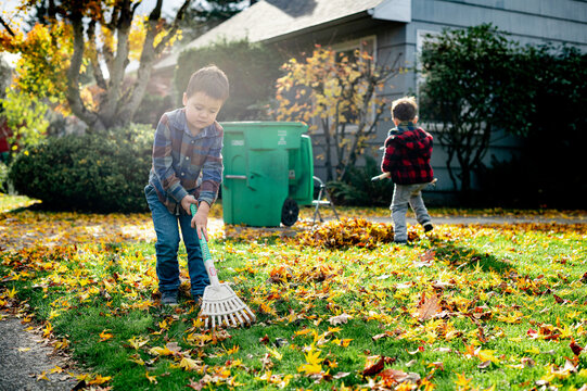 Two brothers raking leaves in front yard
