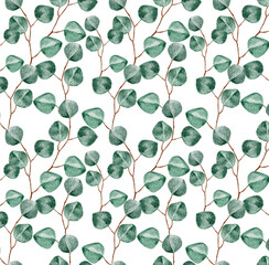 Obraz premium seamless pattern with green leaves watercolor eucalyptus