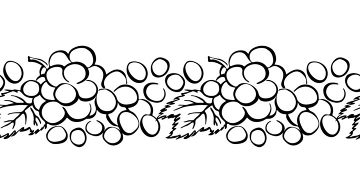 Hand drawn stylized grape endless border. Vector fruit isolated on white background. Black graphic illustration