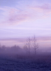 beautiful winter landscape with fog and frost, color of year 2022