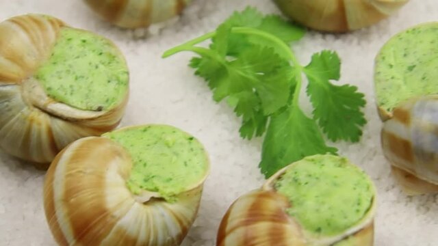 escargots frais au four avec du persil et du beurre &agrave; l'ail sur une assiette