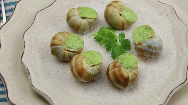 escargots frais au four avec du persil et du beurre &agrave; l'ail sur une assiette