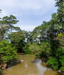 River Omo in Omo forest reserve, Ogun State Nigeria.  Located about 135 kilometers from Lagos, the forest reserve consists of a large area of tropical rainforest covering 130,500 hectares .
