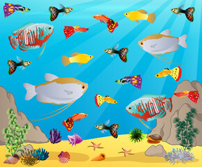 Underwater panorama. Sea underwater, cartoon fish swimming in the ocean, deep coral reef and sand, panoramic vector illustration background