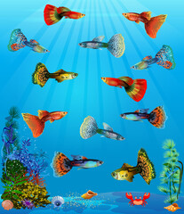 Underwater panorama. Sea underwater, cartoon fish swimming in the ocean, deep coral reef and sand, panoramic vector illustration background