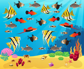 Underwater panorama. Sea underwater, cartoon fish swimming in the ocean, deep coral reef and sand, panoramic vector illustration background
