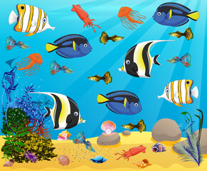 Underwater panorama. Sea underwater, cartoon fish swimming in the ocean, deep coral reef and sand, panoramic vector illustration background