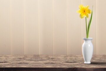 Beautiful vase with flowers against a wall on the desk