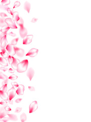 Japanese cherry blossom pink flying petals