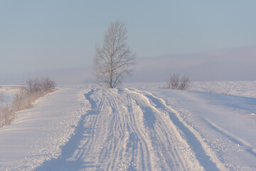 Snow-covered road through a field where a tree stands.