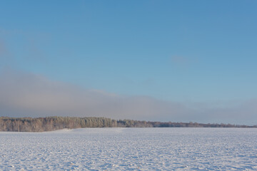 Fototapeta na wymiar Frost, far north, snowy field and forest.