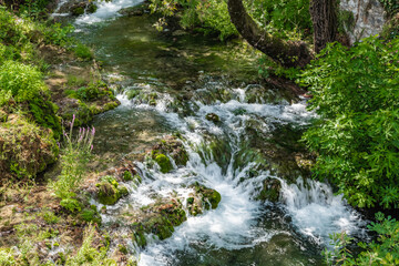 Cold waters of a mountain stream