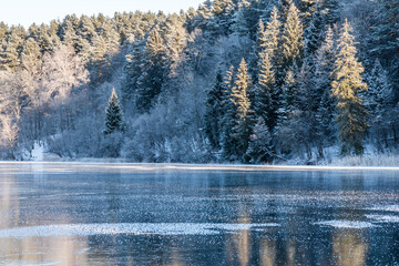 a view to frosted trees near a just frozen lake on a sunny winter day