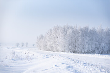 Fototapeta na wymiar Winter rural landscape, road covered with snow and trees covered with frost, misty cold morning