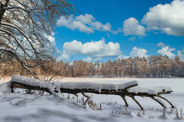 Winter landscape with a felled tree. "Frog's Eye Lake" near Elk. Masuria, Poland