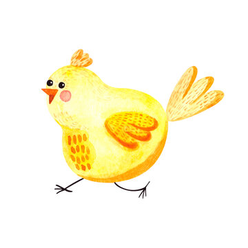 Watercolor illustration with yellow cute chicken on a white background. Easter illustration for holidays, postcards, packaging, fabrics