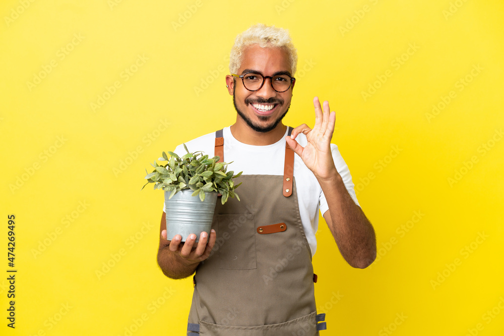 Wall mural Young Colombian man holding a plant isolated on yellow background showing ok sign with fingers