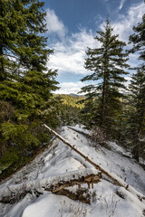 Obraz premium Okanogan-Wenatchee National Forest in Washington State