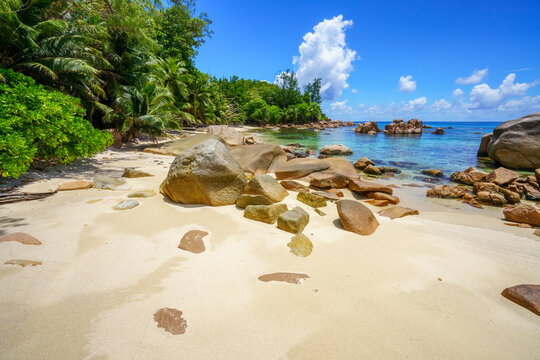 tropical beach anse badamier on curieuse island on the seychelle