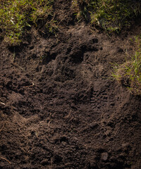 soil and dirt at the scene of a crime